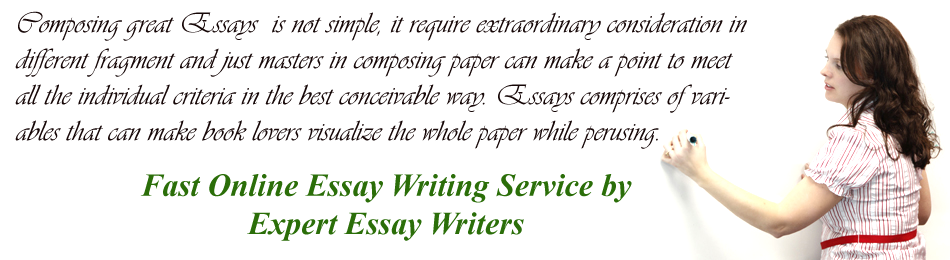 Essay Writing Help